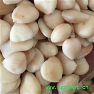 苦杏仁 去皮苦杏仁选 产地 内蒙古自治区图2