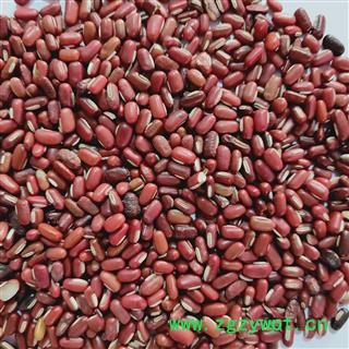赤小豆 赤小豆统货 产地 山东省图4