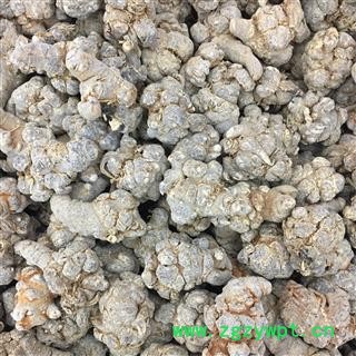 三七 水洗三七33头 性价比高 含量达国标 产地 云南省图2