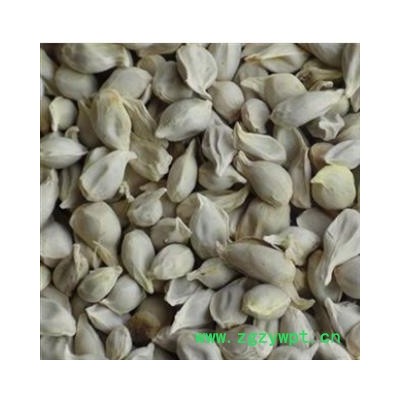 橘核 产地直销四川橘核，选货 产地 四川省