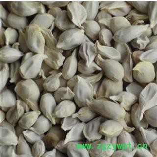 橘核 产地直销四川橘核，选货 产地 四川省图2