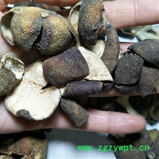 青皮 四花青皮绿色选个 产地 江西省图4