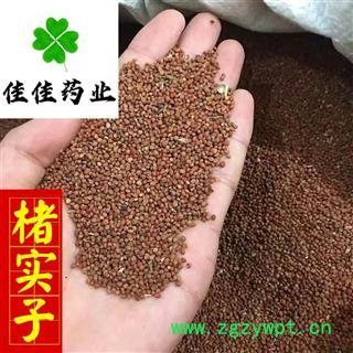 楮实子 楮实子净货 新货 正品货 产地 四川省图4