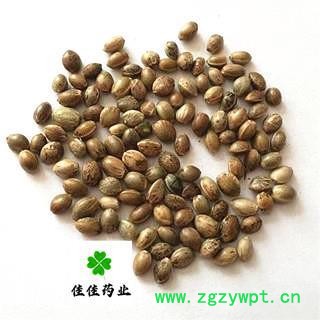 火麻仁 火麻仁大粒 颗粒饱满 供应各种中药材 冷背货 籽籽药 矿石 产地 四川省图4