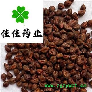 葡萄籽 净货 葡萄子 产地直销 磨粉 五谷杂粮 必备 批发各类中药材 产地 新疆维吾尔自治区图2