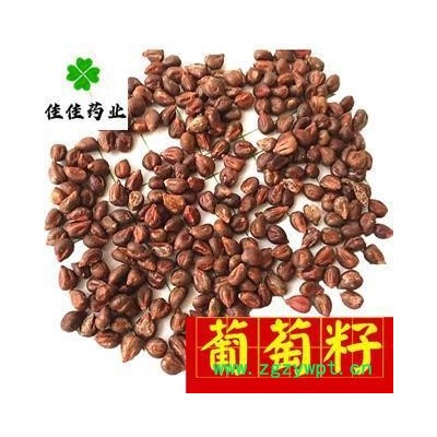 葡萄籽 净货 葡萄子 产地直销 磨粉 五谷杂粮 必备 批发各类中药材 产地 新疆维吾尔自治区