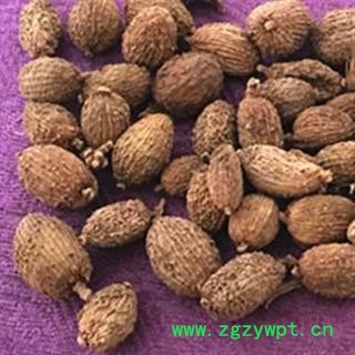 砂仁 过筛货 进口壳砂仁统货 产地 海外 发货前过筛子  砂仁 壳砂仁 春砂仁图2