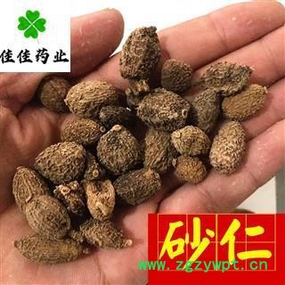 砂仁 过筛货 进口壳砂仁统货 产地 海外 发货前过筛子  砂仁 壳砂仁 春砂仁图3