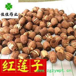 莲子 湖南湖北实心选装红莲子 产地 湖南省 新货 降价促销 产地直销 供应各类中药材图2