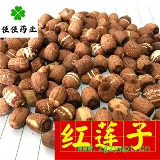 莲子 湖南湖北实心选装红莲子 产地 湖南省 新货 降价促销 产地直销 供应各类中药材图4