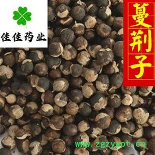 蔓荆子 江西蔓荆子大粒选货 正品 诚信铸就未来 产地 江西省图2