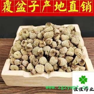 覆盆子 覆盆子选货 大粒 产地直销 实物图 过筛货 产地 浙江省图2