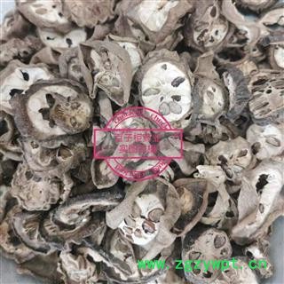 八月札 0.6以上筛无籽 产地 云南省图2