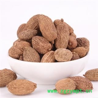 秦岭优质砂仁 壳砂仁统货 颗粒均匀山民采摘日晒晾干无硫砂仁500g图4