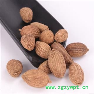 秦岭优质砂仁 壳砂仁统货 颗粒均匀山民采摘日晒晾干无硫砂仁500g图3