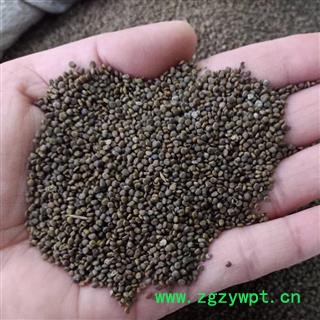 沙苑子 沙苑子新货净货 产地 陕西省 小影全品类中药材店铺图2