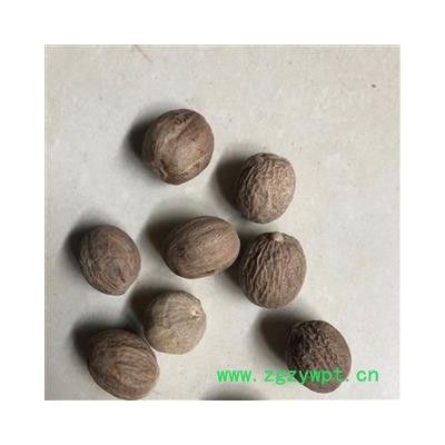 肉豆蔻 选货 产地 广西壮族自治区 小影全品类中药材店铺