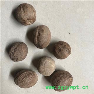 肉豆蔻 选货 产地 广西壮族自治区 小影全品类中药材店铺图2