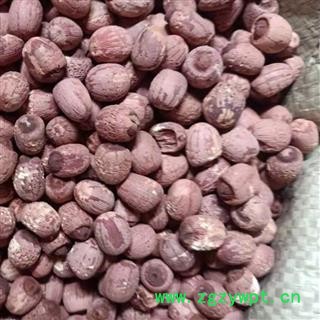 红莲子 湖南湖北实心红莲子 产地 湖南省 小影全品类中药材店铺图2