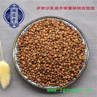 莱菔子 选货 产地 甘肃省图2