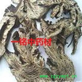 升麻 选货 产地 黑龙江省图2