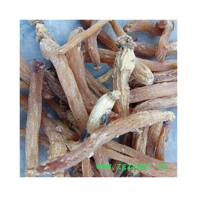 红参 无糖红参个 纯无糖 80支以上 俗称小抄 低价大促销   假一赔十  十五天无条件退货  产地 吉林省