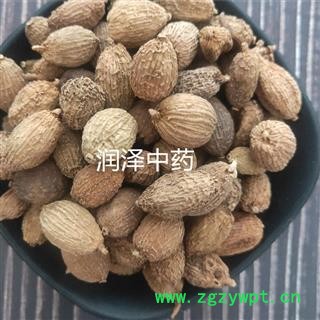 【进口砂仁园果】【润泽中药】中药材批发供应 规格齐全 量大从优图2