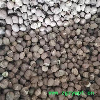 【红莲子好统货】【润泽中药】中药材批发供应  规格齐全 量大从优图2