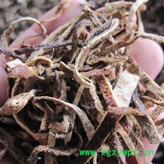 陈皮 统丝 产地 山东省 老年陈皮 味道十足图3