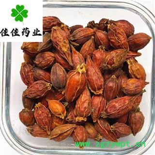 栀子 福建红栀子选装个 一个价格一个质量 新货颜色好 产地 江西省栀子 善栀子 红栀子图2