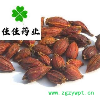 栀子 福建红栀子选装个 一个价格一个质量 新货颜色好 产地 江西省栀子 善栀子 红栀子图3