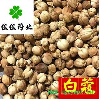 白豆蔻 白寇 白蔻 选装 无硫货 产地直销 发货前过筛子 批发各类中药材 冷背货 花果茶 香料 矿石等 产地 广西壮族自治区图2