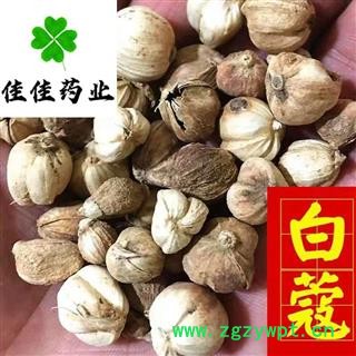 白豆蔻 白寇 白蔻 选装 无硫货 产地直销 发货前过筛子 批发各类中药材 冷背货 花果茶 香料 矿石等 产地 广西壮族自治区图3