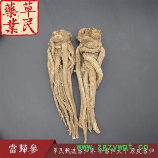 草民甄选当归参 无硫全当归大个 原皮当归 身干无杂 专业批发量大从优图4