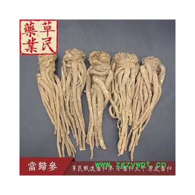 草民甄选当归参 无硫全当归大个 原皮当归 身干无杂 专业批发量大从优