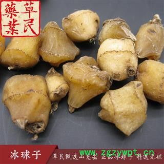 草民甄选山慈菇 正品冰球子 独蒜兰 精选无硫 毛茨菇 实物如图 专营冷备量大从优图2