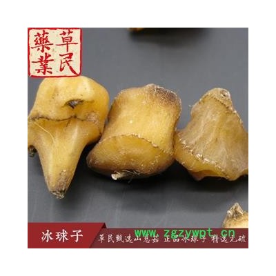 草民甄选山慈菇 正品冰球子 独蒜兰 精选无硫 毛茨菇 实物如图 专营冷备量大从优