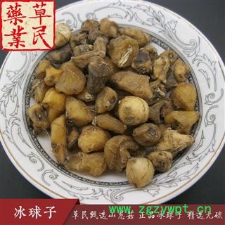 草民甄选山慈菇 正品冰球子 独蒜兰 精选无硫 毛茨菇 实物如图 专营冷备量大从优图4