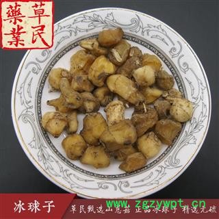 草民甄选山慈菇 正品冰球子 独蒜兰 精选无硫 毛茨菇 实物如图 专营冷备量大从优图3