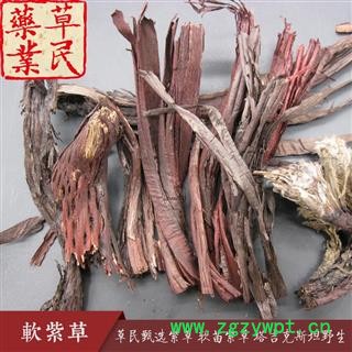 草民甄选紫草 软苗紫草 塔吉克斯坦野生 药典全检 实物如图 专业批发量大从优图3