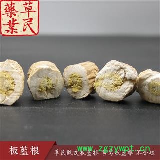 草民甄选板蓝根选 过检板蓝根 黄芯板蓝根 道地药材 专业批发量大从优图4