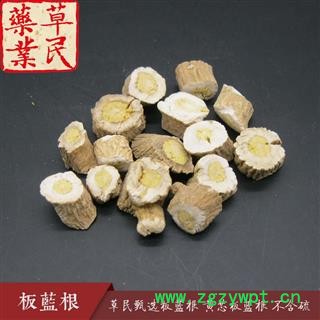 草民甄选板蓝根选 过检板蓝根 黄芯板蓝根 道地药材 专业批发量大从优图2