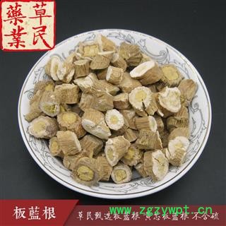 草民甄选板蓝根选 过检板蓝根 黄芯板蓝根 道地药材 专业批发量大从优图3