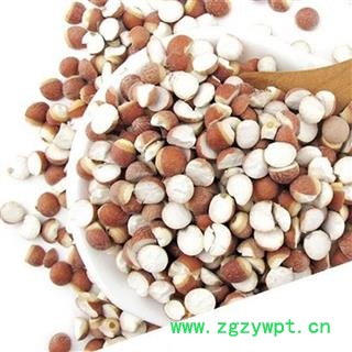 芡实 对开 鸡头米 统 产地 广东省图2