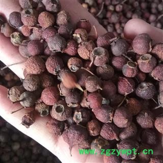 南山楂  野山楂   山楂豆   优质  炕货    产地 河南省平顶山市图2