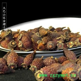 大巴山 野生金樱子 产地重庆市巫山县图3