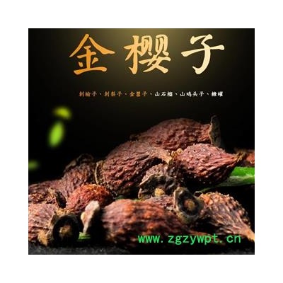 大巴山 野生金樱子 产地重庆市巫山县