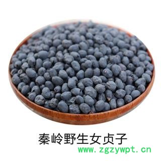女贞子500g野生女贞子中药材女贞子冬青籽秦岭野生女贞子泡茶图3