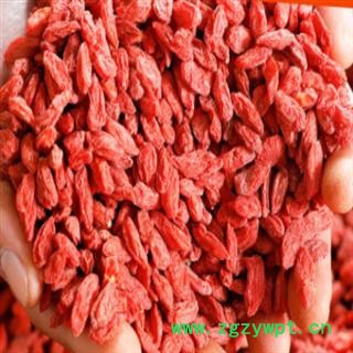 秦岭盛达中药材红枸杞 手工摘拣 日晒 晾干红枸杞500g图4