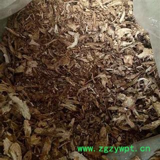 当归 统货  产地 甘肃省图2